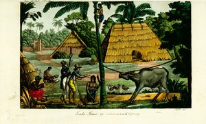 Vesnická scéna poblíž Kupang, Timor od Unbekannt