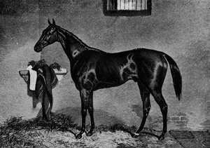 Voltigeur, 1847-1874, 1911 od Unbekannt