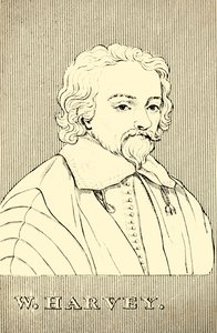 W. Harvey, 1578-1657, 1830. od Unbekannt