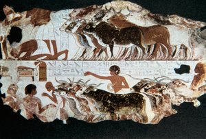 Nástěnná malba z hrobky Nebarunun, Théby, Egypt, c1350 př.nl od Unbekannt
