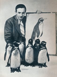 Walt Disney s tučňáky, 1934 1935 od Unbekannt
