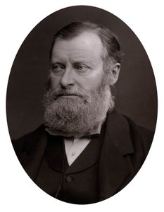 William Edward Forster 1818-1886, konec 19. století od Unbekannt