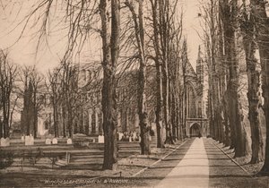 Winchester Cathedral and Avenue, Hampshire, počátek 20. století. od Unbekannt