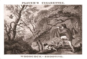 Woodcock-Shooting, 1924. od Unbekannt