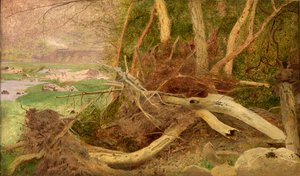 Zalesněná krajina s mostem, ca. 1860-1870. od Unbekannt