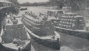 Vlněné čluny na řece Murray, 1923. od Unbekannt