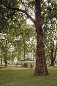 Berkeley Square, Londýn W1 od Unbekannt Unbekannt