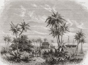 Dům Davida Livingstonea na Zanzibaru, Tunisko, východní Afrika, ilustrace z „Svět v rukou“, vyrytý Henri Theophilem Hildibrandem (1824-97), vydáno 1878 od Unbekannt Unbekannt