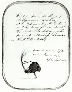Giovanni Natale Santini ostříhal vlasy z hlavy císaře Napoleona a dal je Williamu Temple Franklinovi, 1816 (vlasy) od Unbekannt Unbekannt