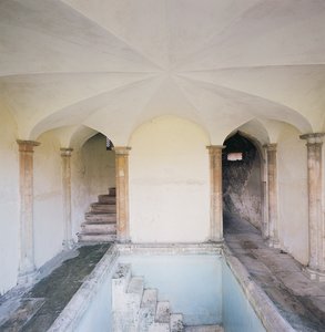 Interiér Bath House, Corsham Court, Wiltshire od Unbekannt Unbekannt