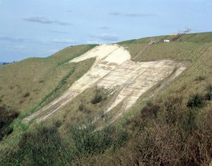 Bílý kůň z Westbury od Unbekannt Unbekannt