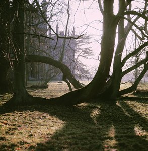 Pohled na severní frontu, Corsham Court, Wiltshire od Unbekannt Unbekannt