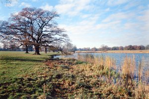 Pohled na jezero, Corsham Court, Wiltshire
