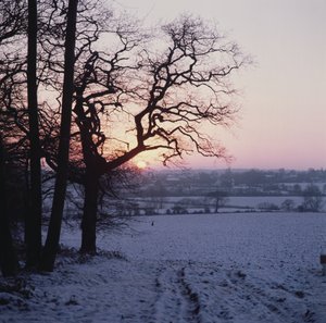 Zimní scéna ve sněhu, Hockley, Essex od Unbekannt Unbekannt