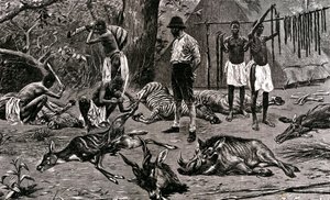 Skvělý lovecký den! 1900 (rytina) od Unbekannter Künstler
