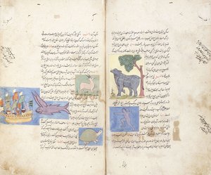Stránka z perského rukopisu "Aja"ib al-Makhluqat wa Ghara"ib al-Maujudat od Unbekannt