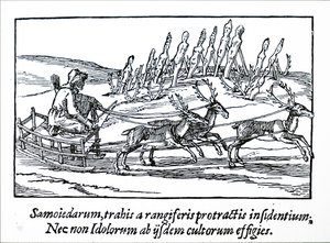 Saně tažené sobem na severní Sibiři od Unbekannt