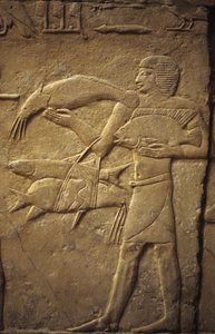 Starověký Egypt: Sakkára (nebo Sakkára či Sakkarah): nekropole Staré říše, hrobka šlechticů. Detail reliéfů představujících rybáře.
