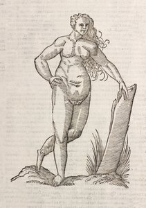 Androgynos od Unbekannt