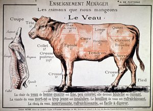 Zvířata, která jíme : tele, cca 1910 (tisk) od Unbekannter Künstler