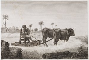 Zemědělství na orné půdě, sklízecí mlátička, Egypt, c 1798 od Unbekannt