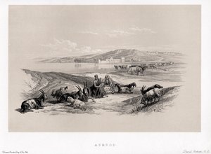 Ashdod Od David od Unbekannter Künstler