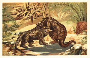 Bitva mezi Megalosaurus bucklandii a Iguanodon bernissar1908 (litografie) od Unbekannter Künstler