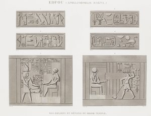 Kniha: Popis Egypta od Unbekannt