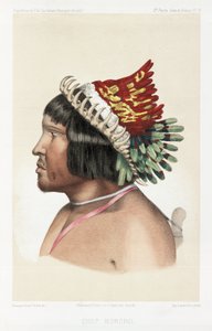 Náčelník Bororo, Jižní Amerika, c 1843-1847 od Unbekannt