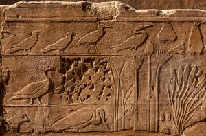 Botanická zahrada Thutmosis III s reliéfními vyobrazeními rostlin a zvířat, chrám Karnak, Luxor, Théby, Egypt, Afrika (foto) od Unbekannter Künstler