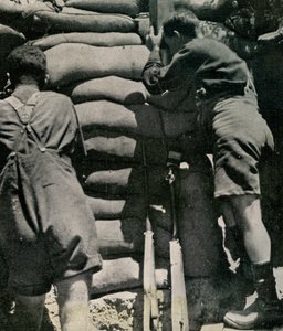 Britští vojáci bojující v Khaki-drill shorts na poloostrově Gallipoli od Unbekannt