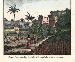 Farmáři z kmene Chamarro orají pole a vyřezávají řádky plantáží na Mariánském souostroví (USA). Ilustrace z knihy Cesta kolem světa (1824) od Louise de Freycineta (1779-1842). Litografie pro knihu: "Galerie complete en tableaux fideles des peu od Unbekannter Künstler