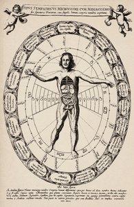 Korespondence mezi mikrokosmem a makrokosmem. Deska převzata z knihy "Mundus subterraneus" od Athanase Kirchera (1601-1680). od Unbekannter Künstler