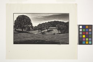 Country Scene (inkoust) od Unbekannter Künstler