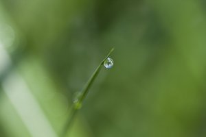 kapka (fotografie) od Unbekannter Künstler
