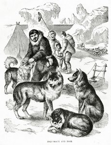 Esquimaux a psi. 1902 (litho) od Unbekannt