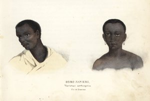 Etiopský muž a žena. Ručně kolorovaná ocelorytina z přírodovědné galerie Georga Friedricha Treitschkeho, Naturhistorischer Bildersaal des Thierreiches, Liepzig-1842. od Unbekannter Künstler
