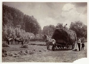 Zemědělské scény, sklizeň a skladování, senoseč před rokem 1900, c 1890 od Unbekannt