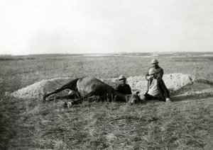 První světová válka 14-18 (1914-1918): tři francouzští vojáci pohřbívají mrtvého koně - fotografie na skleněné desce - od Unbekannter Künstler