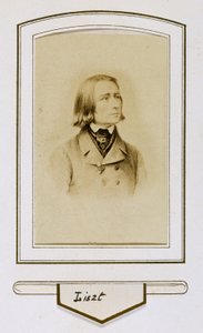 Franz Liszt v mládí od Unbekannter Künstler