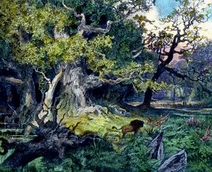 Saksan metsä od Unbekannter Künstler