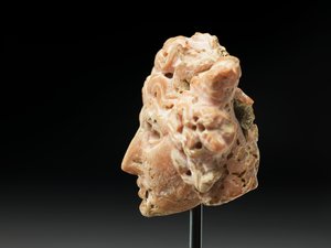 Hlava Medúzy, z Baktrie nebo Gandhary, 2.–1. století před naším letopočtem (růžový korál) od Unbekannt