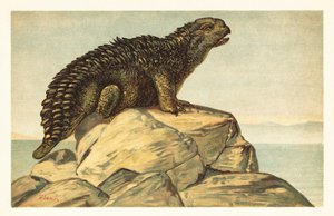 Hylaeosaurus armatus, vyhynulý býložravý ankylosauří dinosaurus 1908 (litografie) od Unbekannter Künstler