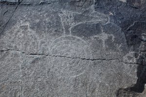 Indiánské Petroglyfy - Zvířecí a symbolické znázornění - Petroglyfní národní památka - Albuquerque, Nové Mexiko, USA (USA) od William M. Timlin