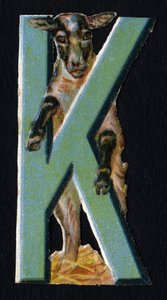 K jako Karakul . Beetle decoupis na téma zvířata. Rytina. Série 26 vaflových chromolitografů anglického původu. Editor a ilustrátor neznámý. Konec 19. století. Rozměr: 5,5 x 3,5 cm od Unbekannt