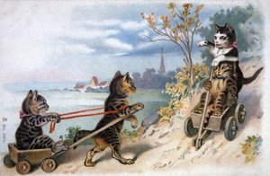 Koťata na saních, počátek 20. století (pohlednice) od Unbekannter Künstler