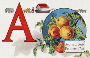 Dopis A: Noeova archa, Apy Apple. Rytina v "ABC L