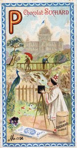 Písmeno P: palác, pavilon, deštník, fotograf, most, rybaření, páv, pensee. Rytina abecedy v úpravě Chocolat Suchard, počátek 20. století. 24 chromolitografií znázorňujících místa, postavy a předměty, které mají být objeveny od Unbekannt
