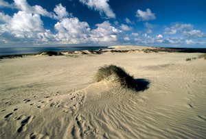 Litva, Klaipeda, Kurská kosa, Nida, pohyblivé písečné duny zvané Pruská Sahara od William M. Timlin