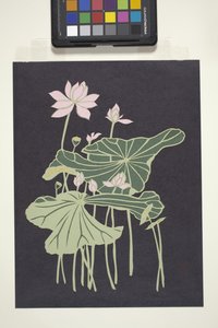 Lotus (vícebarevný řezaný papír) od Unbekannter Künstler